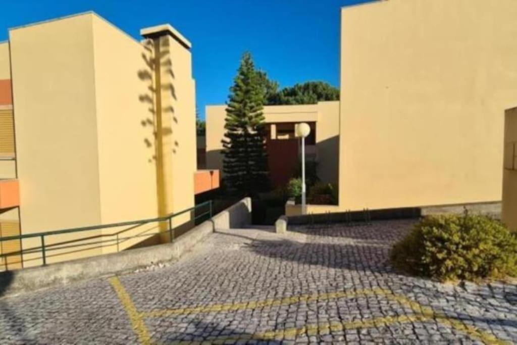Soltroia - Casa Do Pinheiro Lägenhet Exteriör bild